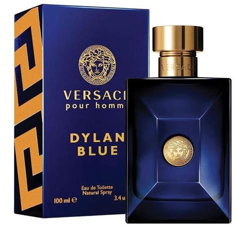 dupe versace dylan blue|fougere perfume dylan blue.